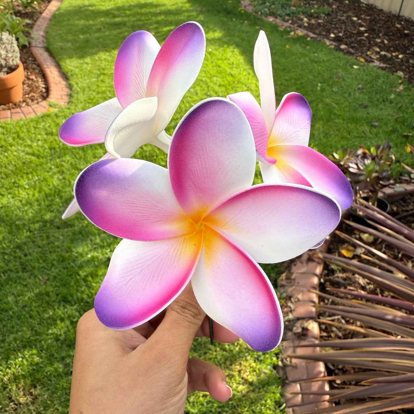Noalofa Large Frangipani Sei Hair Flowers 11cm Tekiteki Pacific Islander Womens Accessories