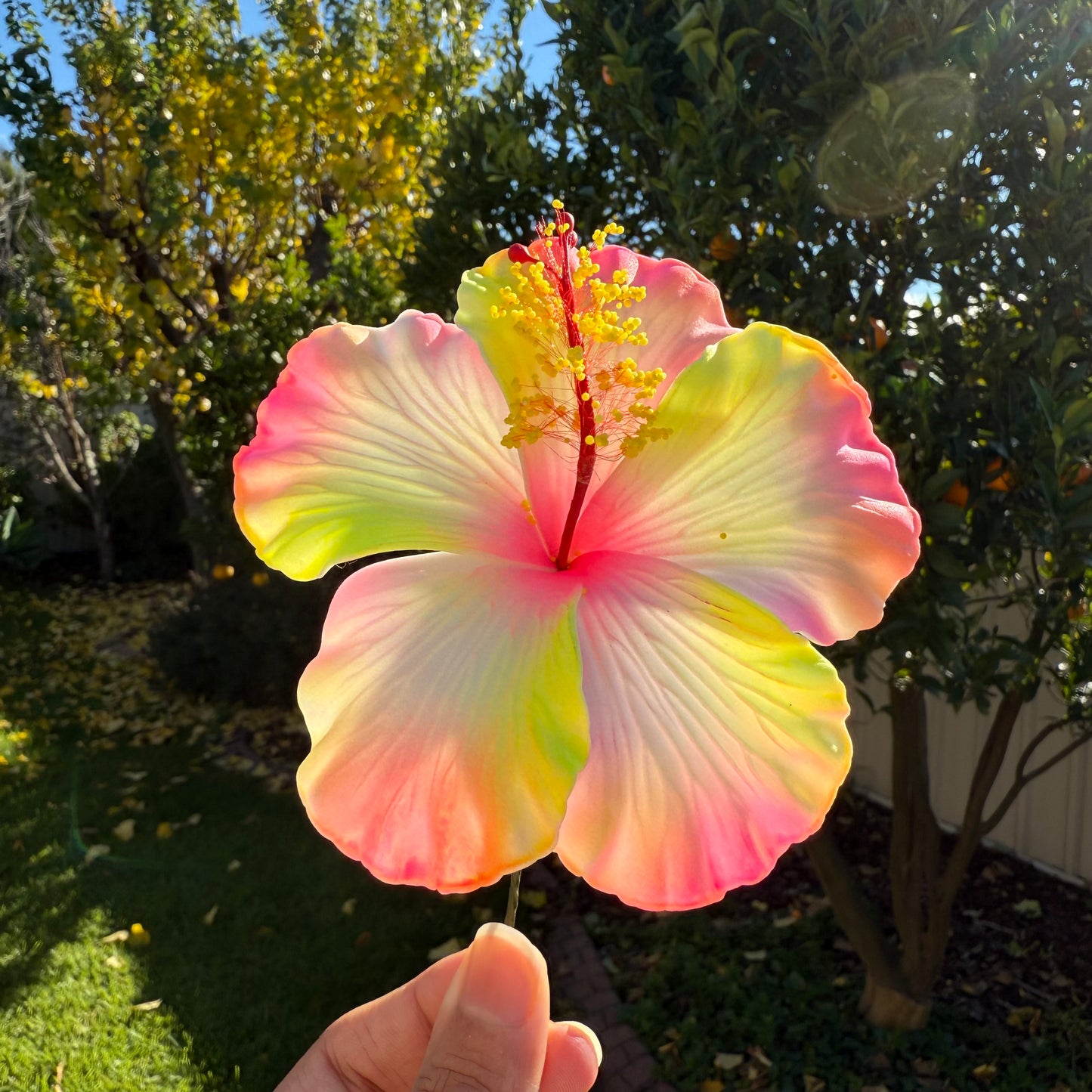 Isalei XL Hibiscus Polynesian Sei Hair Flowers 11cm - Island Aesthetica