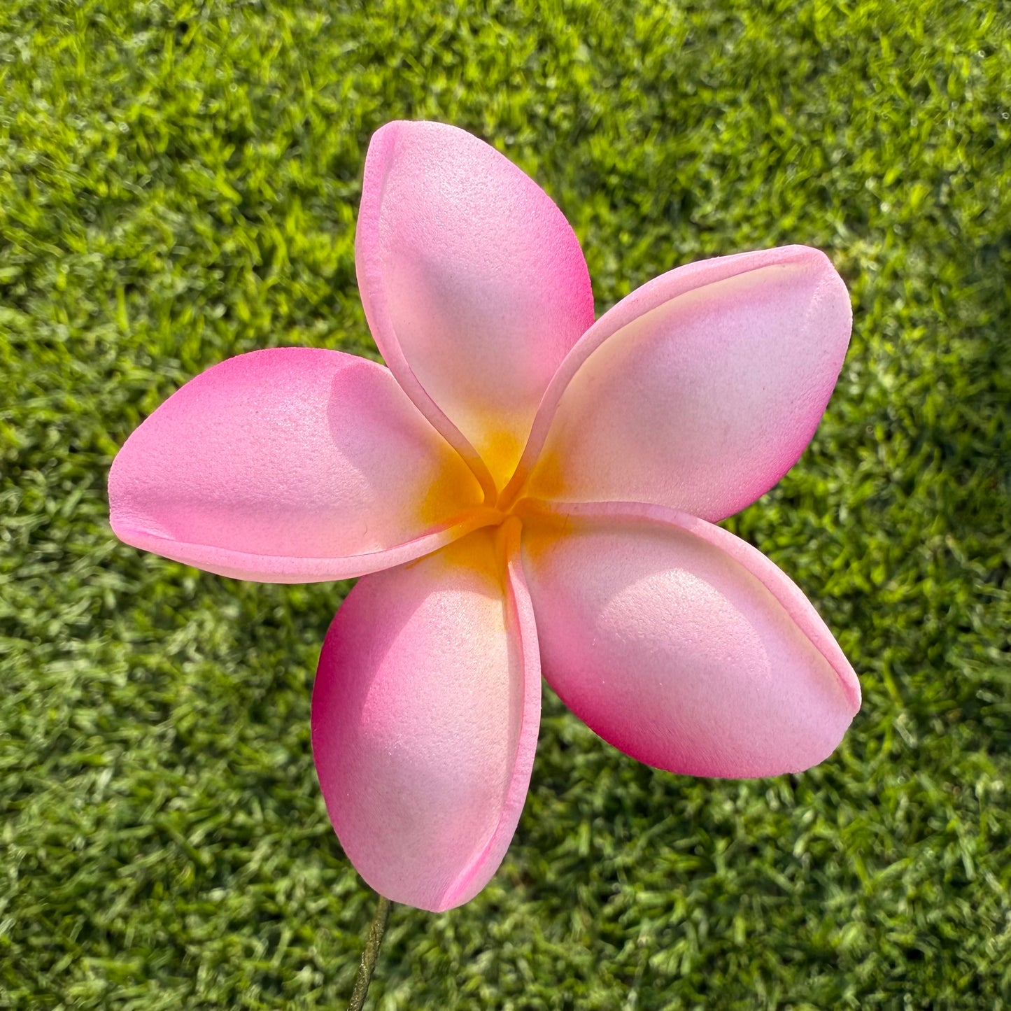 Malia Small Frangipani Sei Flowers 6cm - Island Aesthetica