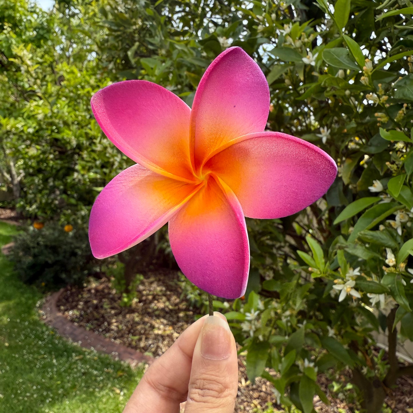 Analei Gradient Frangipani Sei Foam Flowers 7.5cm Pacific Islands Accessories Size Medium