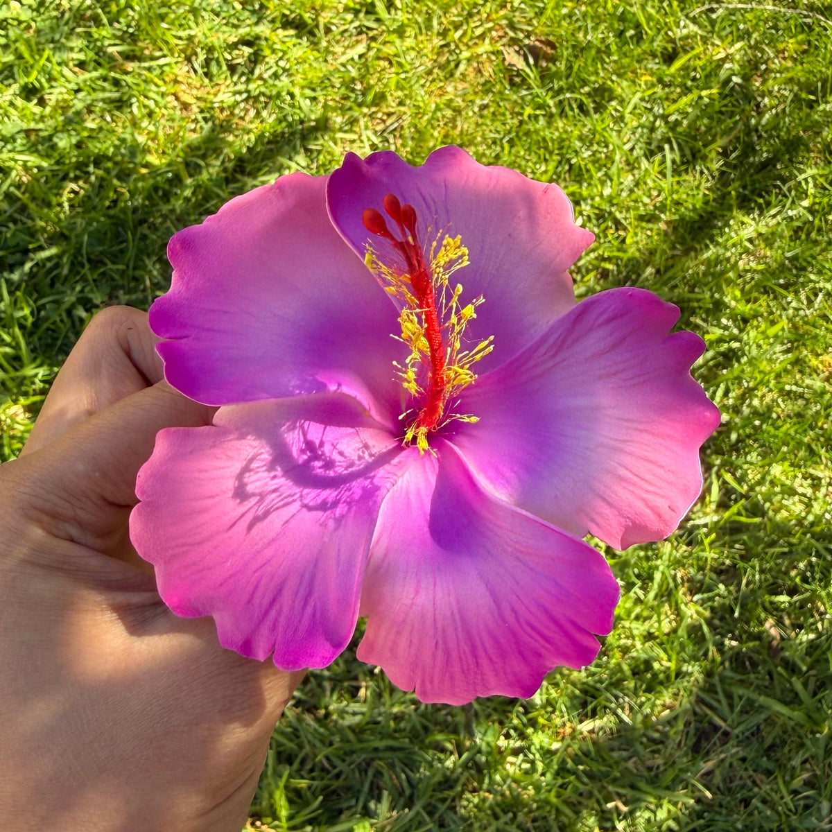 Hivania XL Gradient Hibiscus Polynesian Sei Hair Flowers 10cm