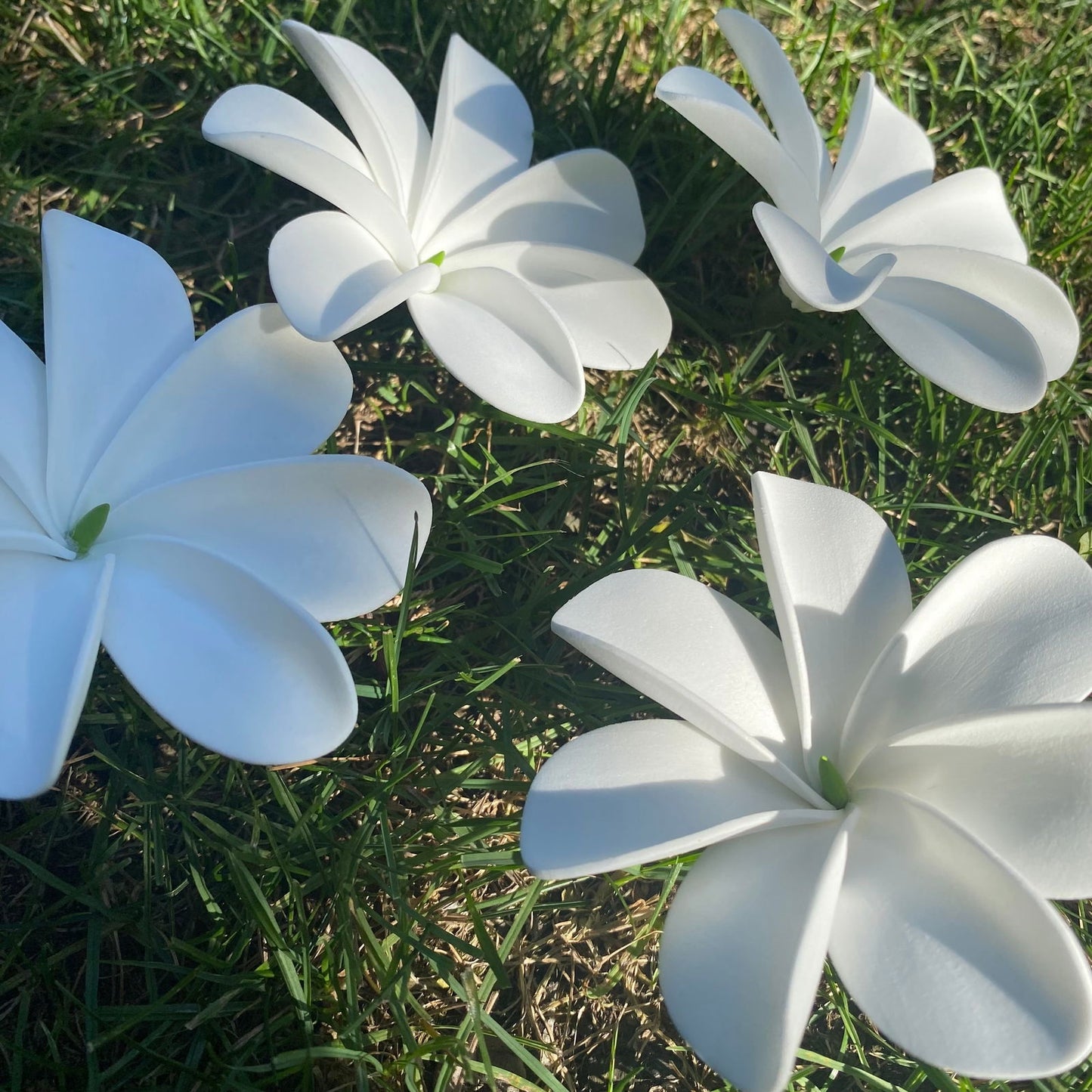 Ayla Tiare (20x) Sei Value Pack Hair Flowers Gift Box #product_variant# - Island Aesthetica