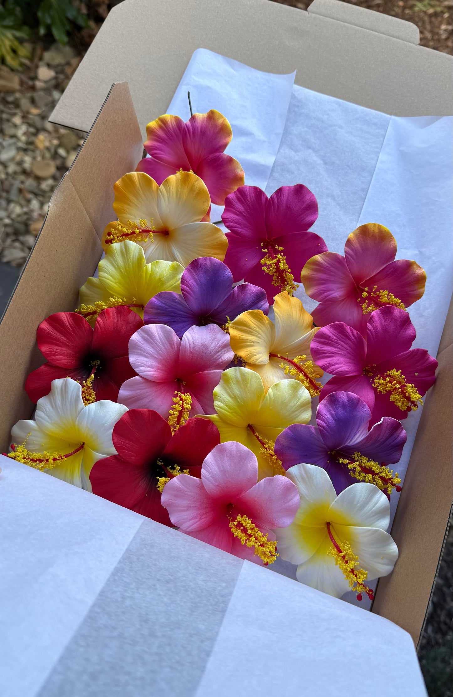 Leleana Assorted Hibiscus Deluxe Gift Box (16x)