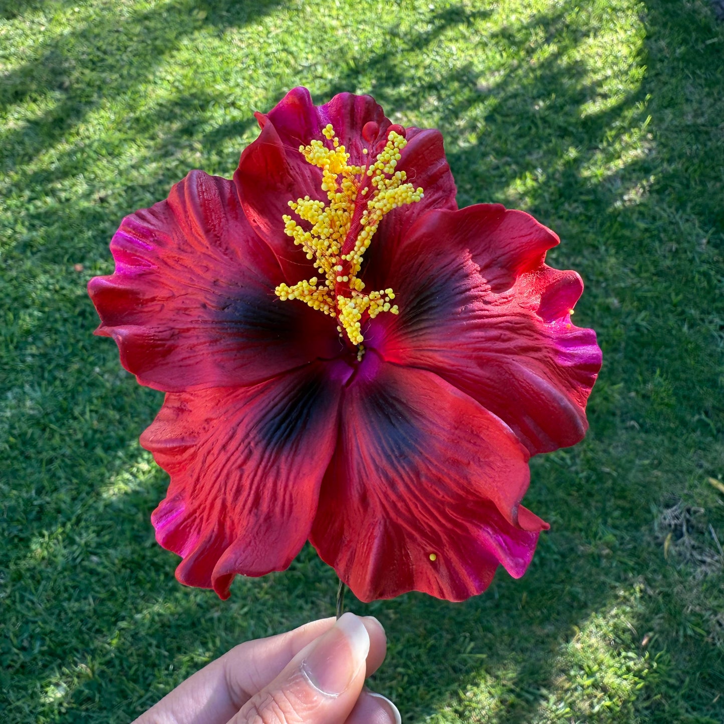 Lupeni XL Gradient Hibiscus Flowers 10cm