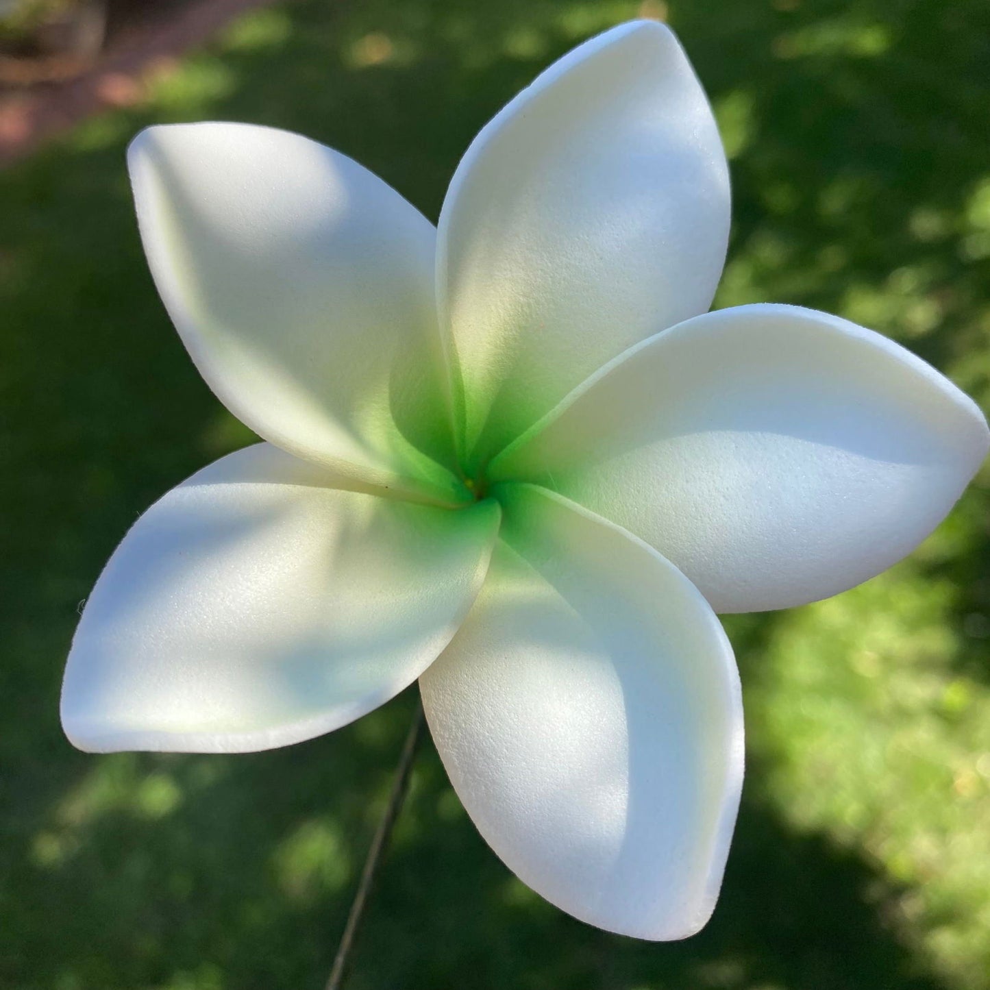 Elei Frangipani Sei Foam Flowers 7.5cm Pacific Islands Accessories Size Medium - Island Aesthetica
