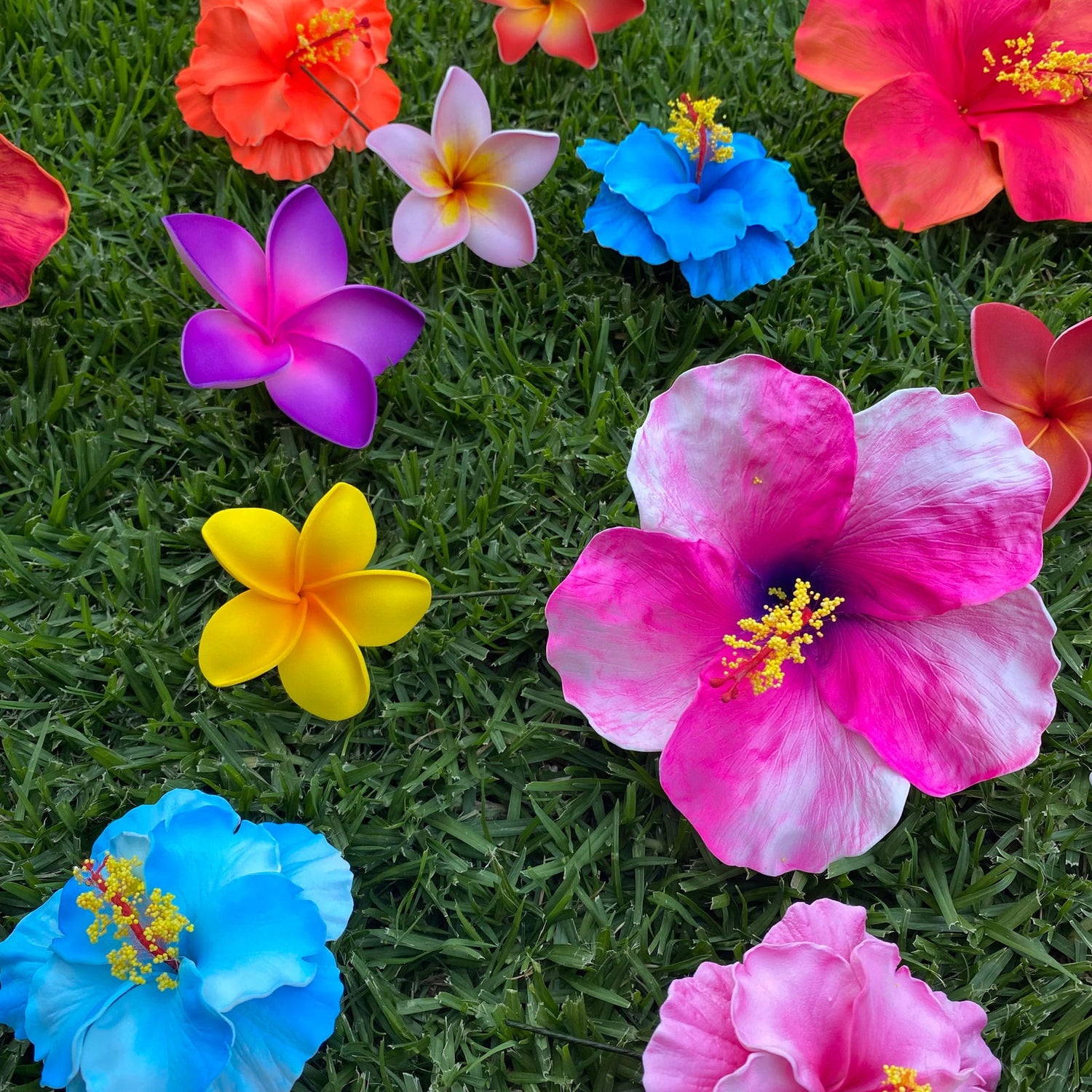 Premium Sei/ Flowers - Island Aesthetica