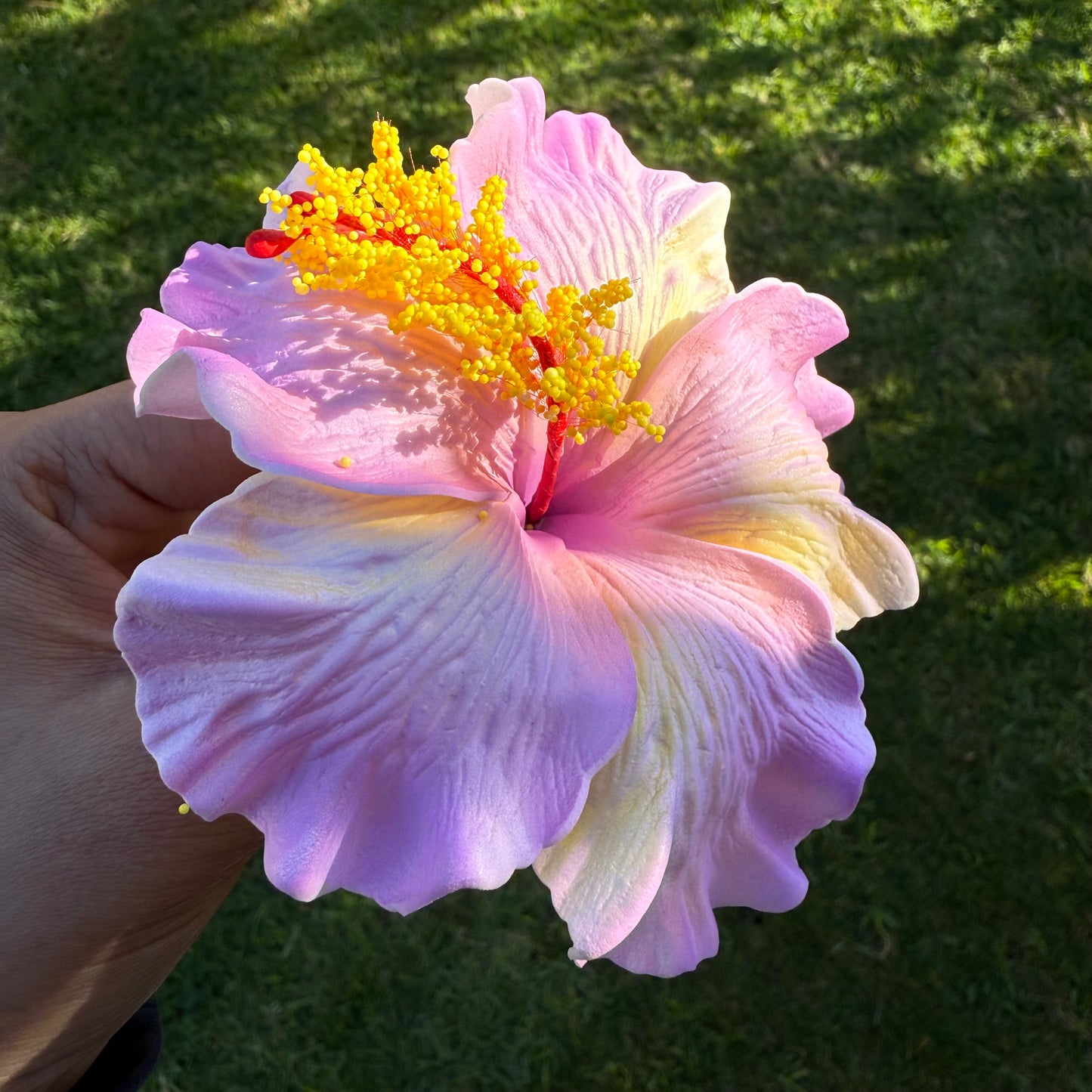 Lupeni XL Gradient Hibiscus Flowers 10cm