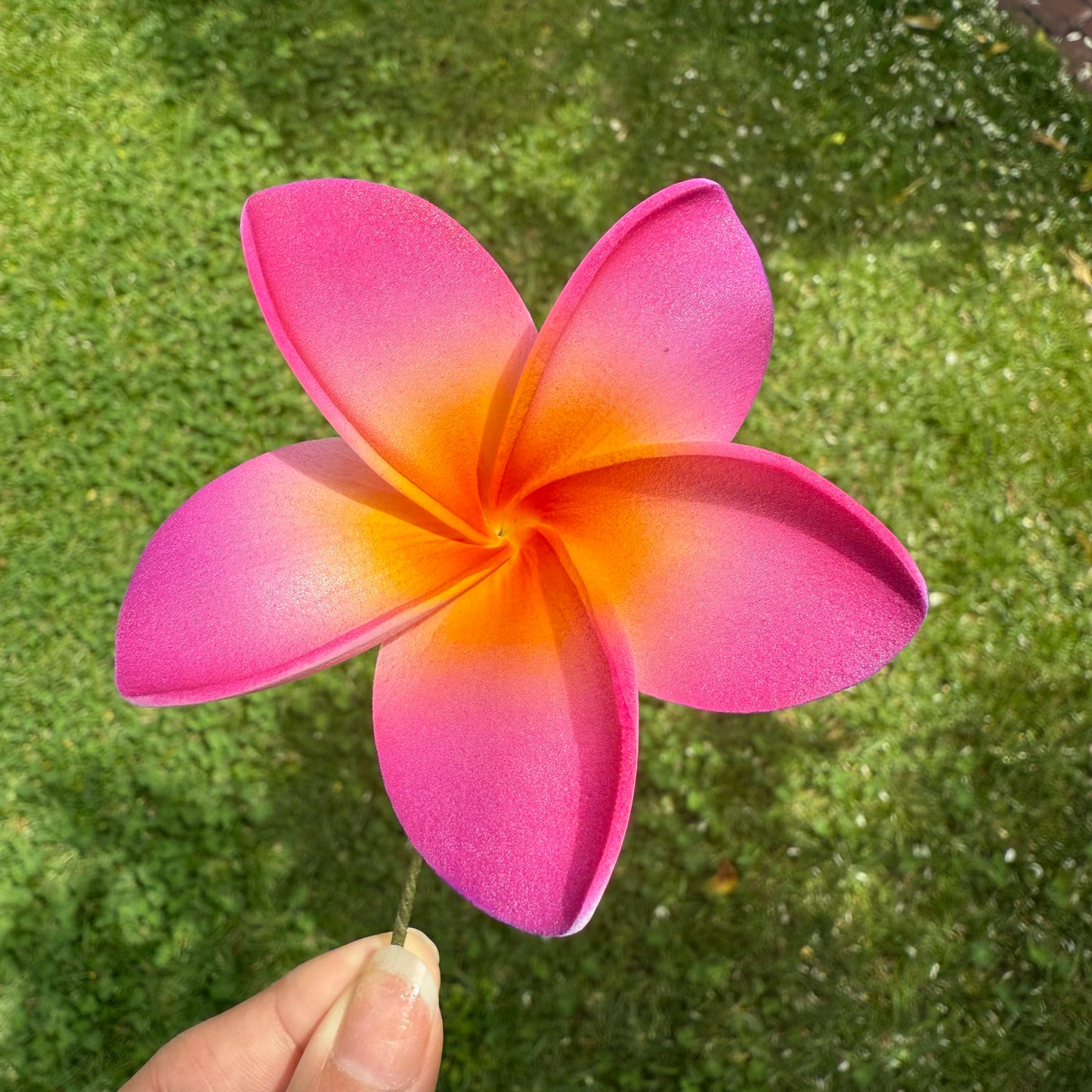 Analei Gradient Frangipani Sei Foam Flowers 7.5cm Pacific Islands Accessories Size Medium