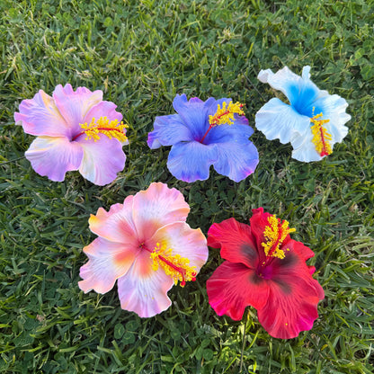 Lupeni XL Assorted Hibiscus Gift Box (5x)