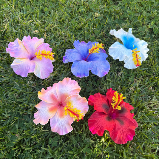 Lupeni XL Assorted Hibiscus Gift Box (5x)