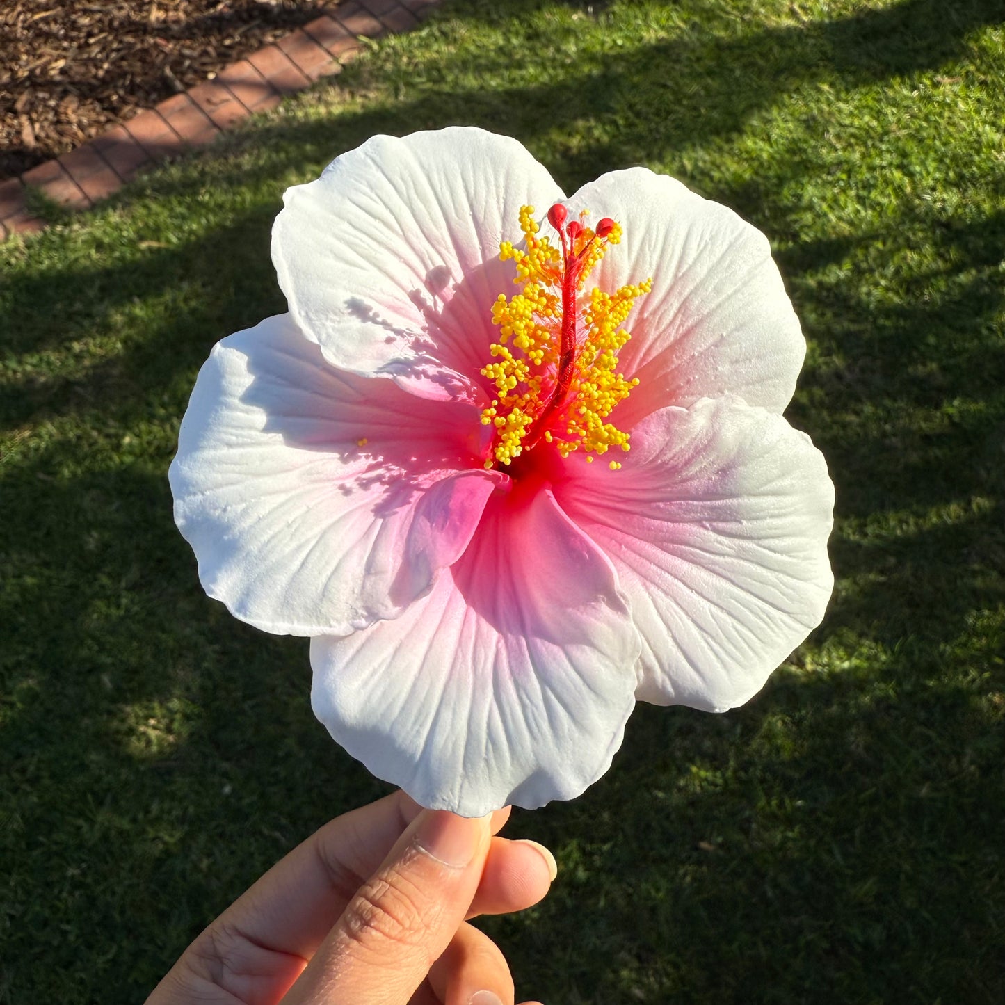 Kaia XL Gradient Hibiscus Flowers 11cm