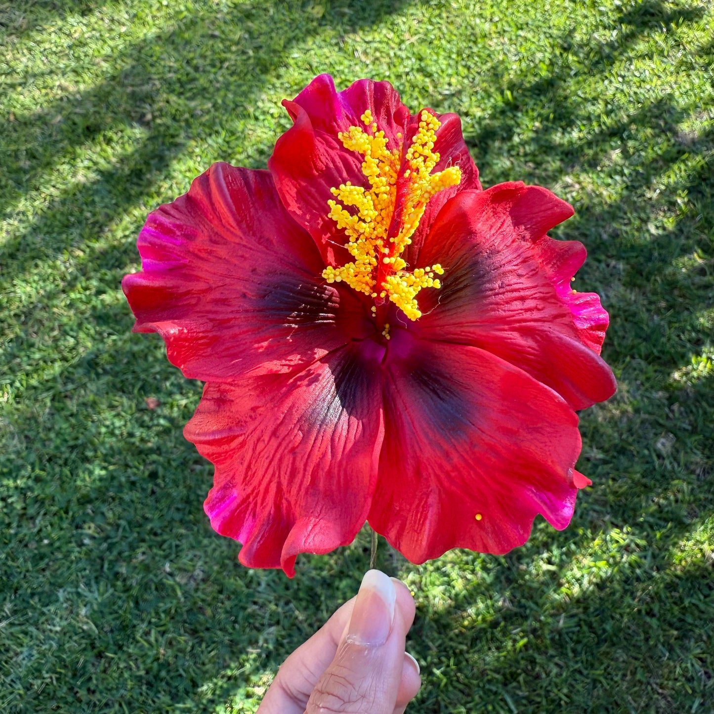 Lupeni XL Gradient Hibiscus Flowers 10cm