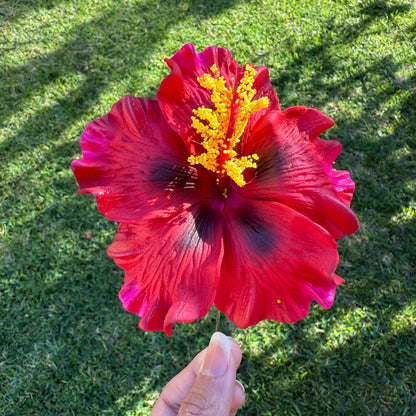 Lupeni XL Gradient Hibiscus Flowers 10cm