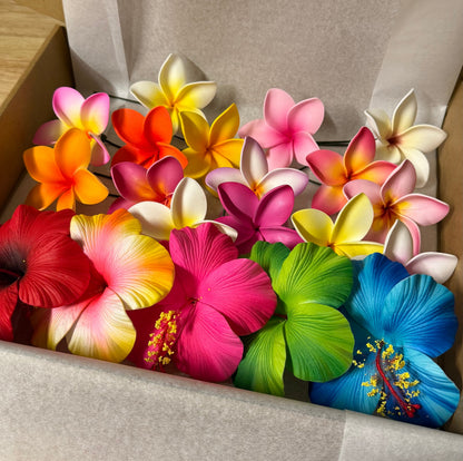 Aroha Hibiscus & Frangipani Sei Gift Box – 20 Assorted Flowers