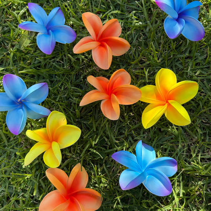 Anahera Frangipani Sei Hair Flowers – Large 9cm | Polynesian Plumeria Sei