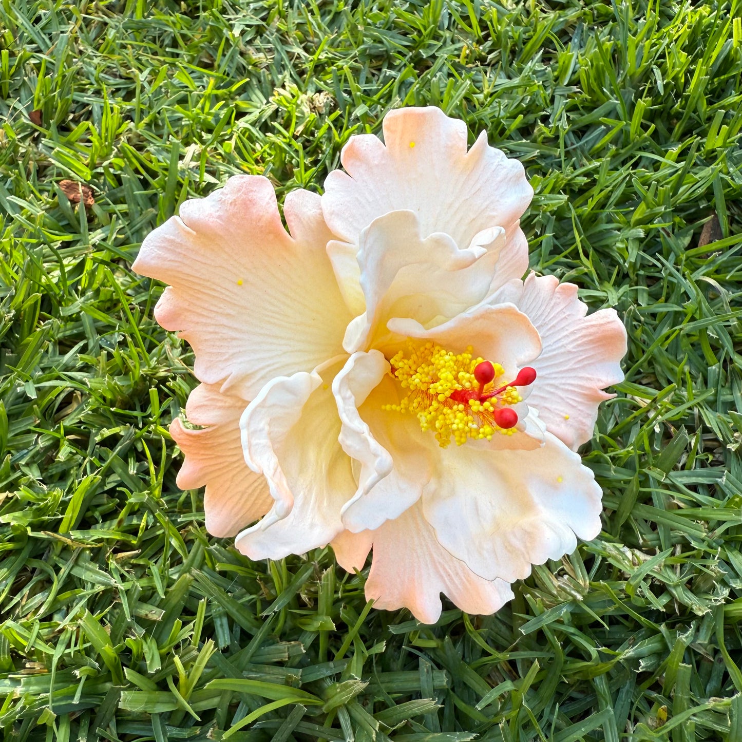 Arihi XL Double Hibiscus Flowers 11cm