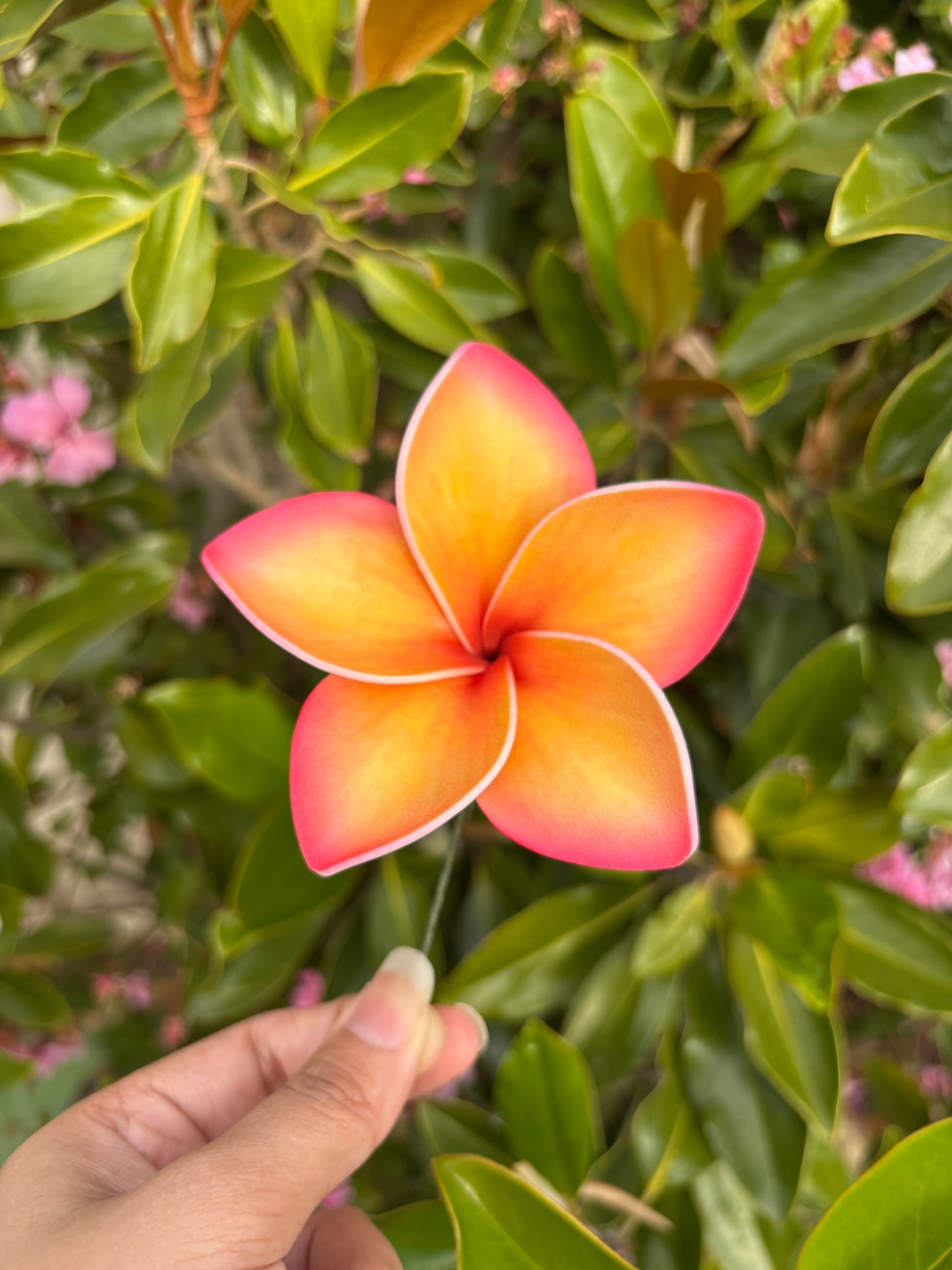 Atalina Frangipani Sei Flowers Size L Pacific Islands Polynesian Hair Flowers Pua