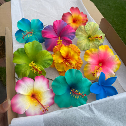 Aofia Gift Box (10x) Sei Aute Hair Flowers