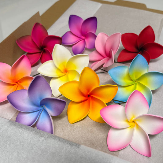 Fiasili Assorted Large Frangipani Gift Box (10x)