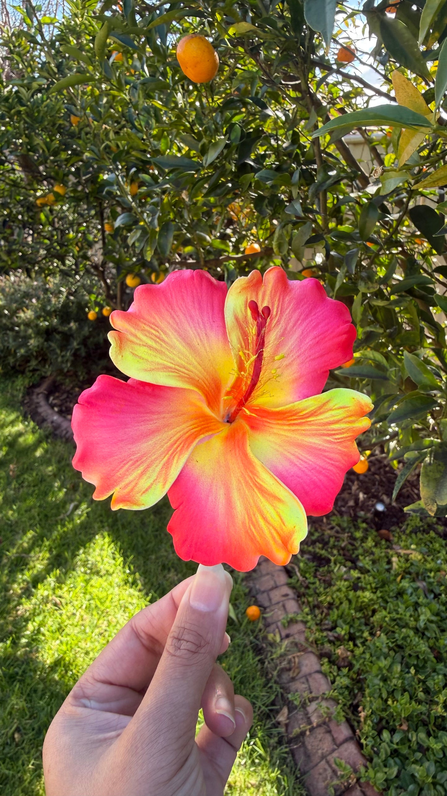 XL Gradient Hibiscus Polynesian Sei Hair Flowers 10cm