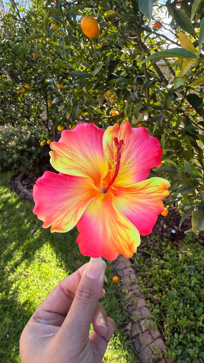 XL Gradient Hibiscus Polynesian Sei Hair Flowers 10cm