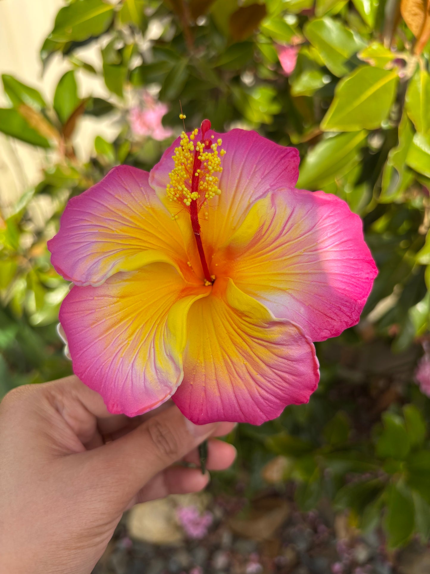Kaia XL Gradient Hibiscus Flowers 11cm