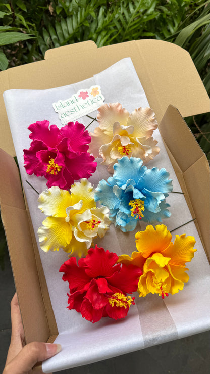 Arihi XL Double Hibiscus Assorted Gift Box (6x)