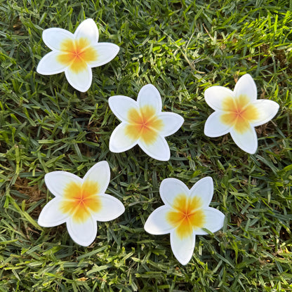 Plumeria Stickers