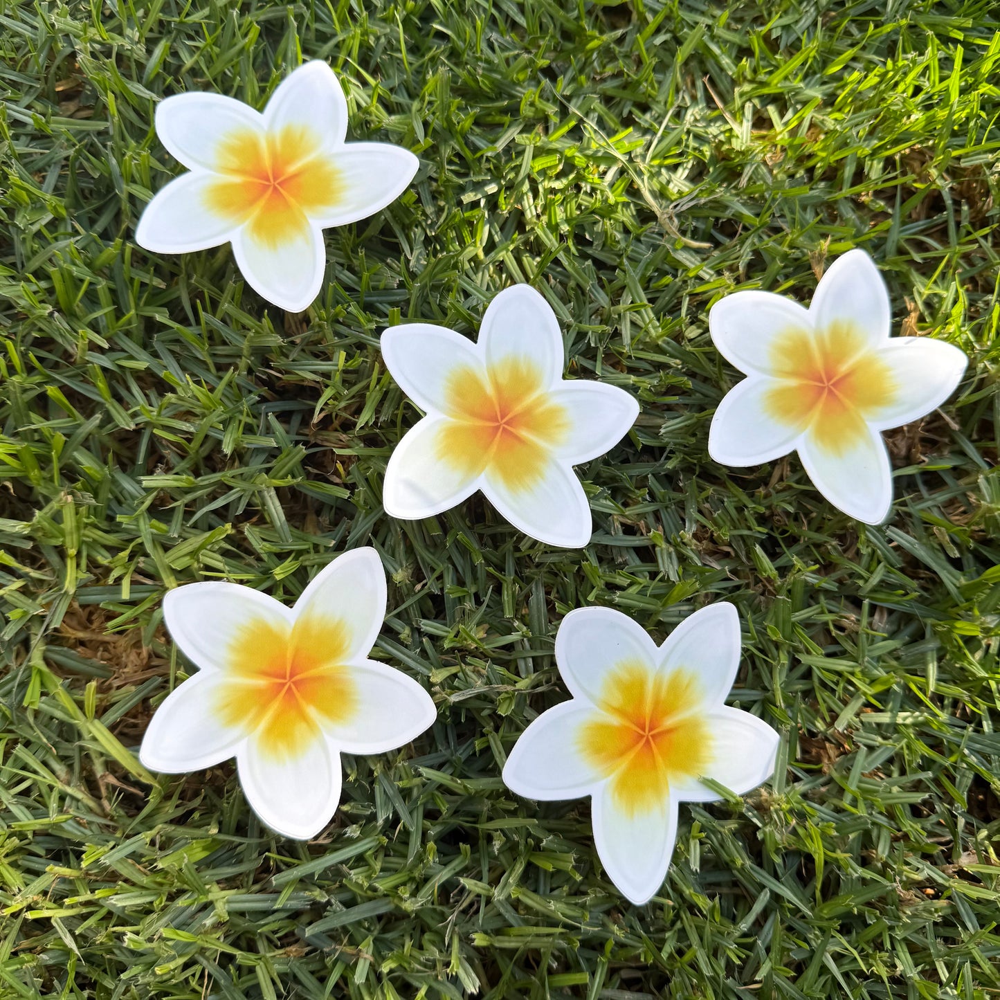 Plumeria Stickers