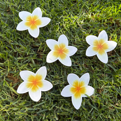 Plumeria Stickers