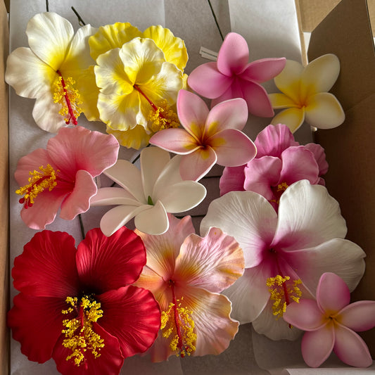 Ileile Assorted Sei Flowers Gift Box (12x)