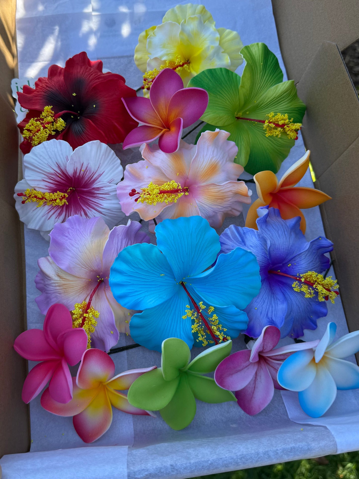 Hinemoa Assorted Gift Box (15x)