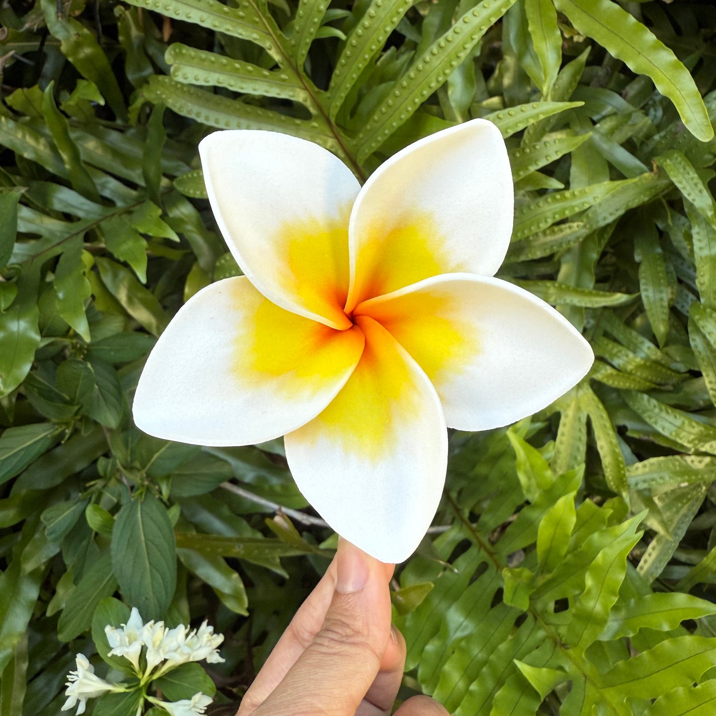 Atalina Frangipani Sei Flowers Size L Pacific Islands Polynesian Hair Flowers Pua