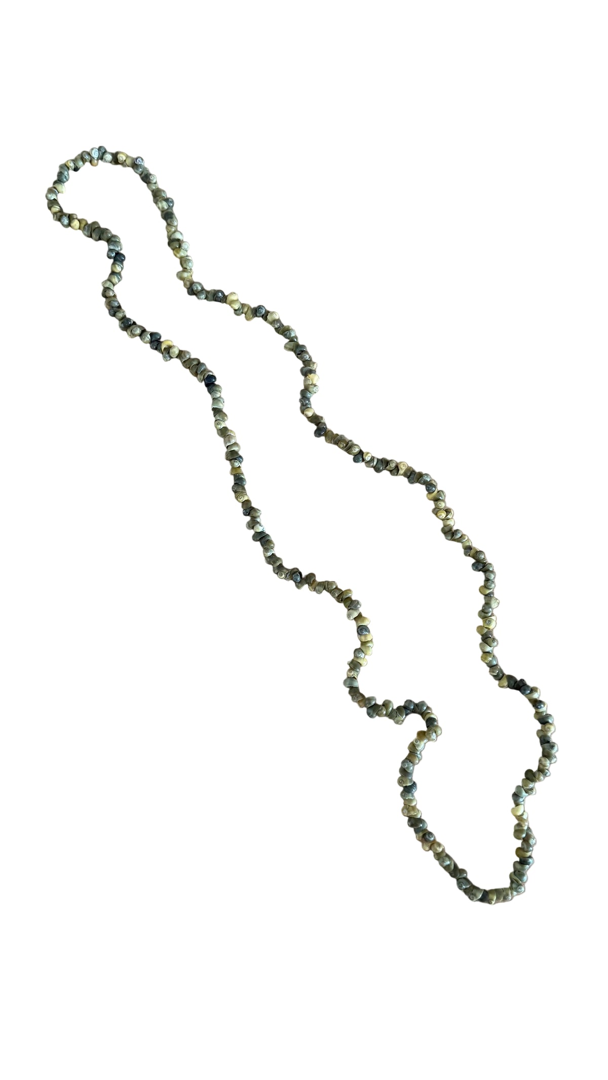 Ula Sisi Shell Necklace 40cm Length
