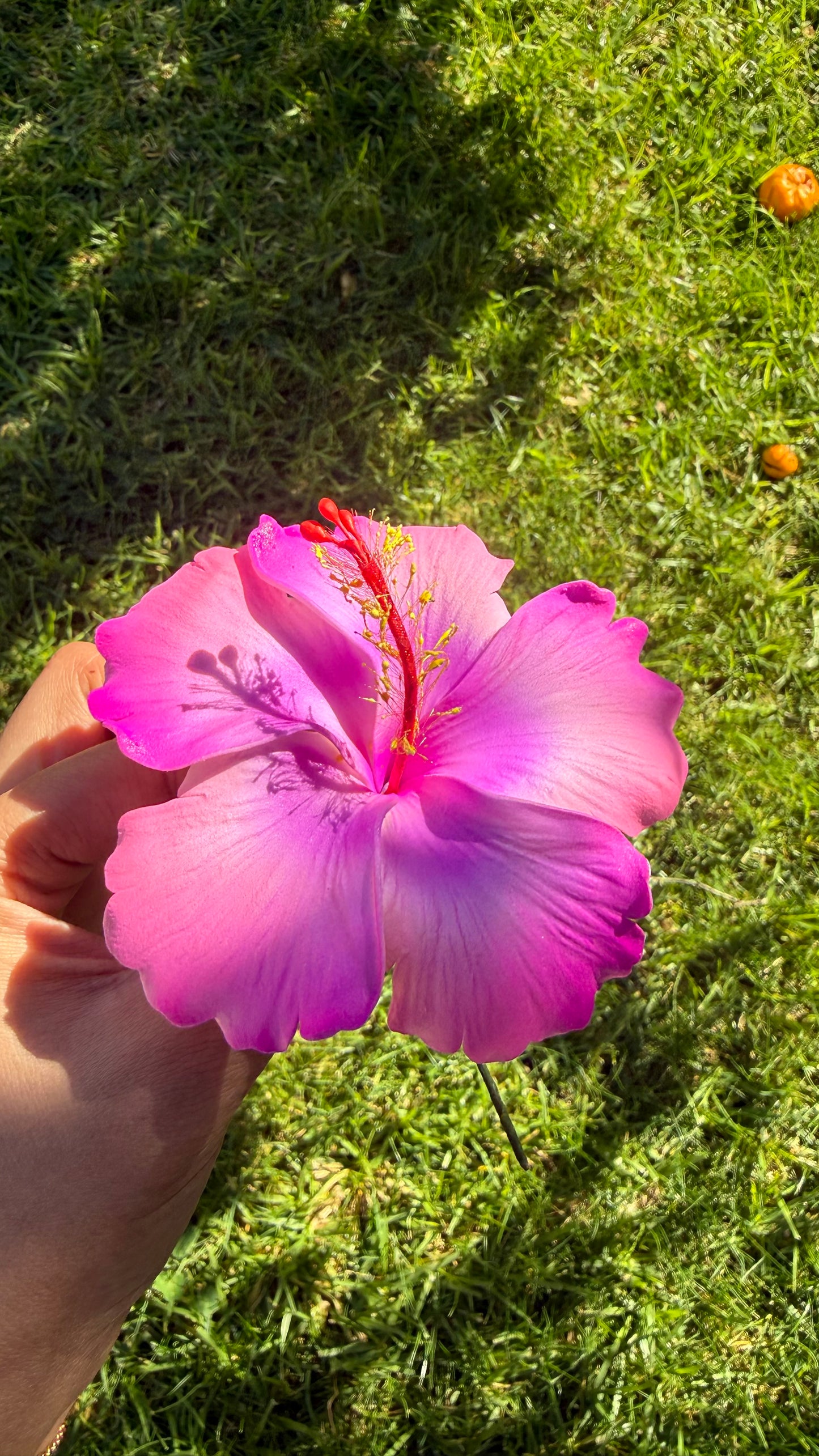 XL Gradient Hibiscus Polynesian Sei Hair Flowers 10cm