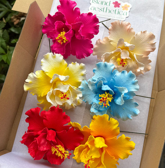 Arihi XL Double Hibiscus Assorted Gift Box (6x)