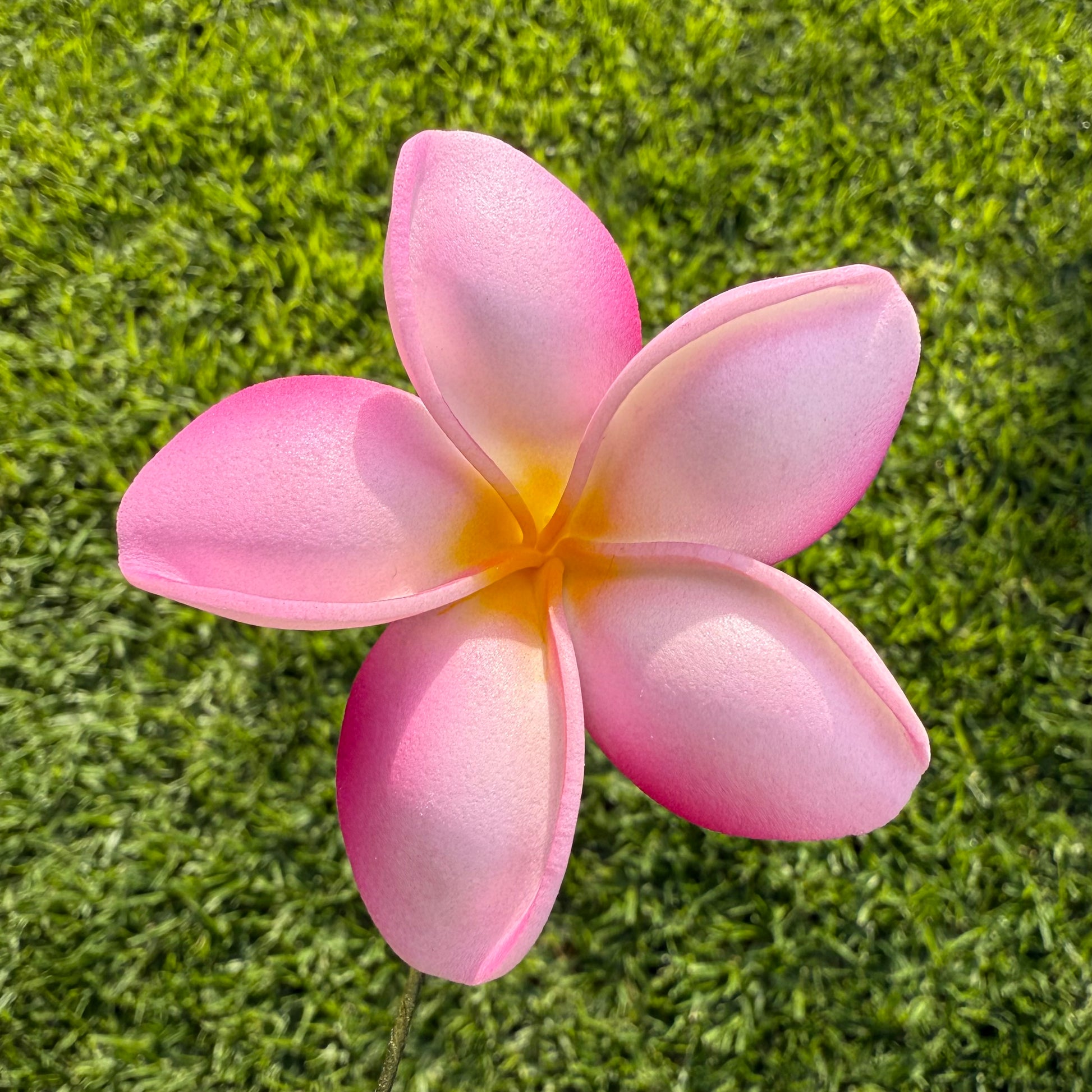Malia Small Frangipani Sei Flowers 6cm - Island Aesthetica