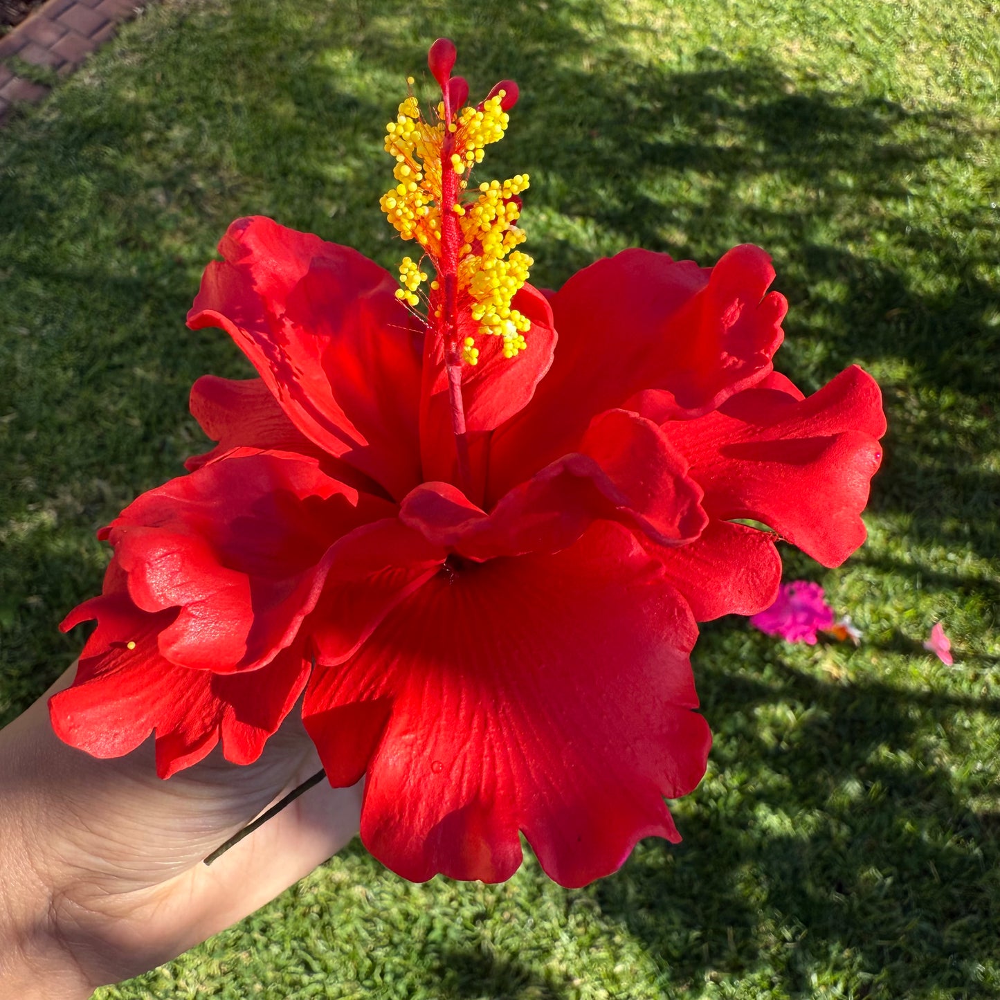 Arihi XL Double Hibiscus Flowers 11cm
