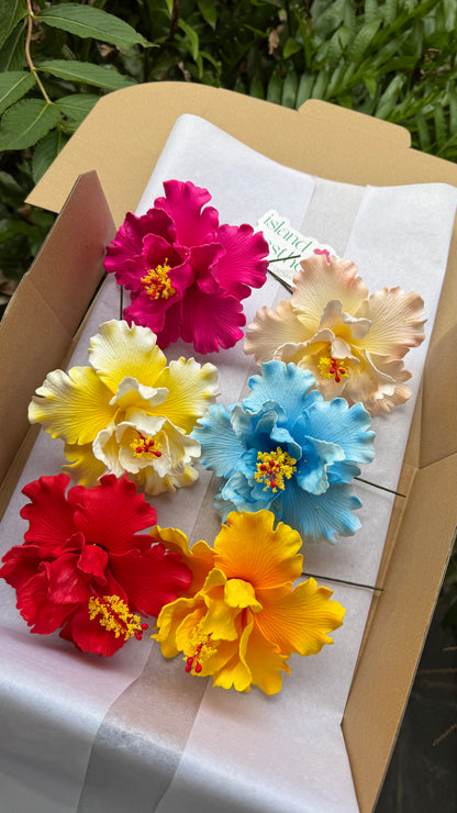 Arihi XL Double Hibiscus Assorted Gift Box (6x)