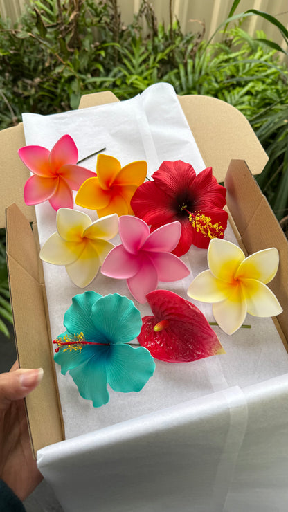 Soleil Assorted Flowers Gift Box (8x)