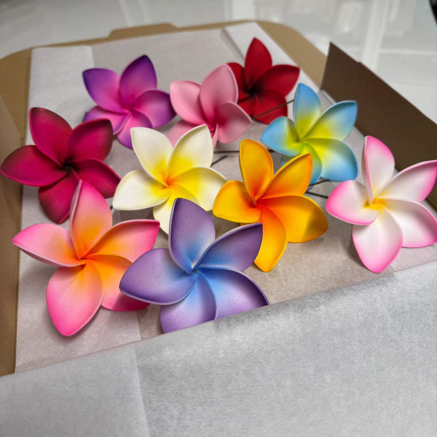 Fiasili Assorted Large Frangipani Gift Box (10x)