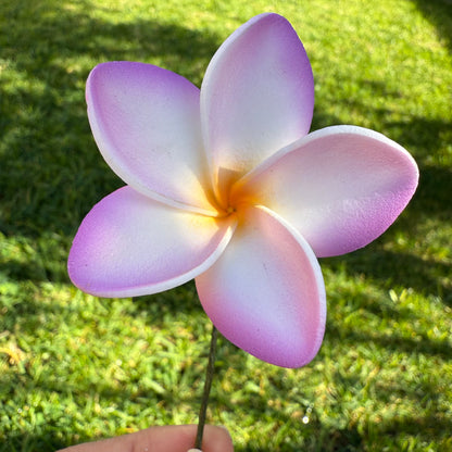 Maile XS Frangipani Sei Flowers 5cm