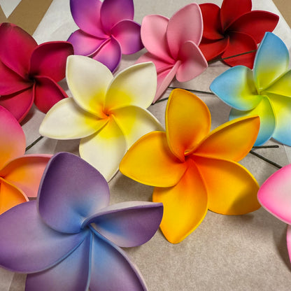 Fiasili Assorted Large Frangipani Gift Box (10x)