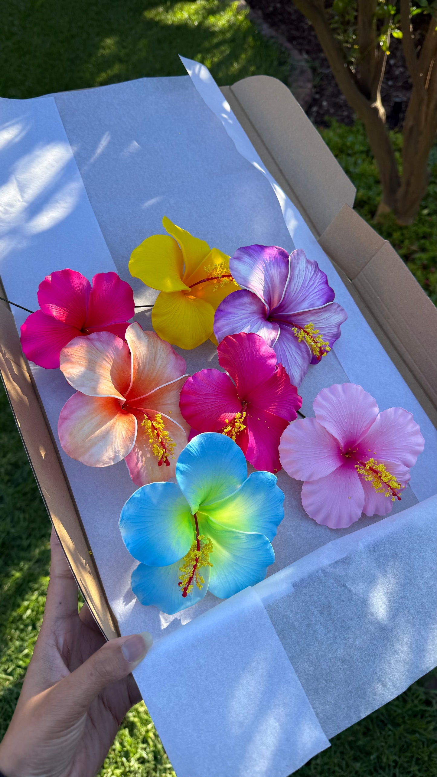 Sinalei Large Hibiscus Flowers (7x) Gift Box