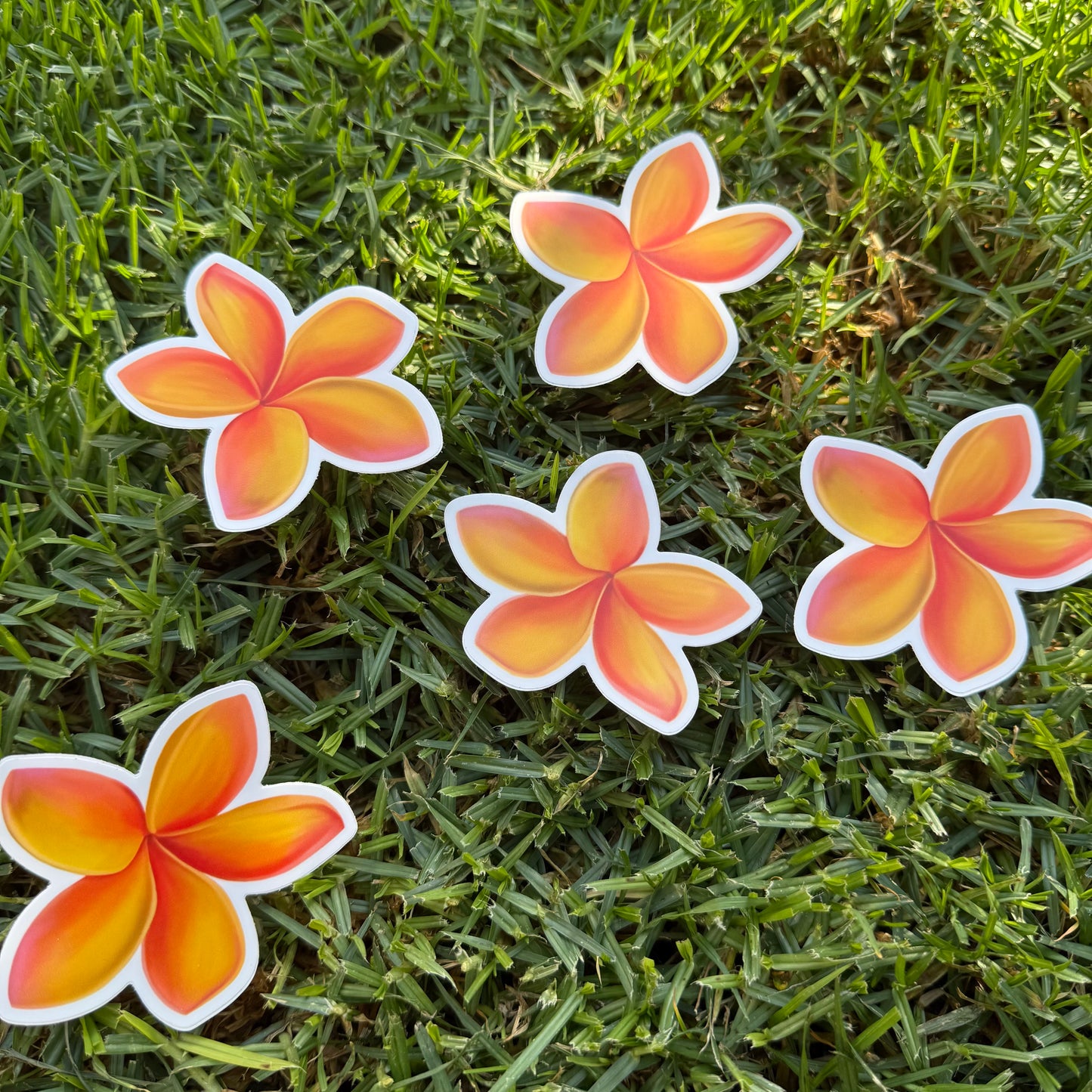 Plumeria Stickers