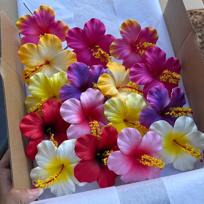 Leleana Assorted Hibiscus Deluxe Gift Box (16x)