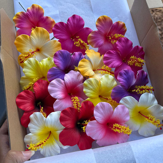 Leleana Assorted Hibiscus Deluxe Gift Box (16x)