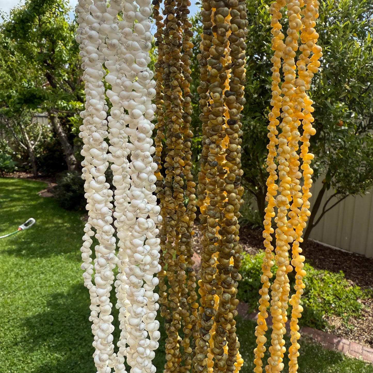 Ula Sisi Shell Necklace 40cm Length