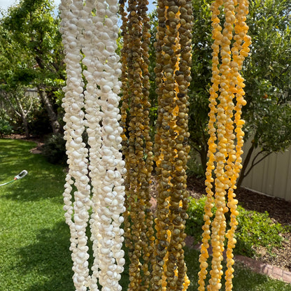 Ula Sisi Shell Necklace 40cm Length