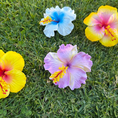 Solana Assorted XL Hibiscus Gift Box (10x)